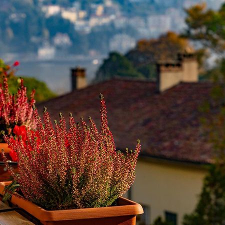 Villa Olmo Cozystay コモ エクステリア 写真